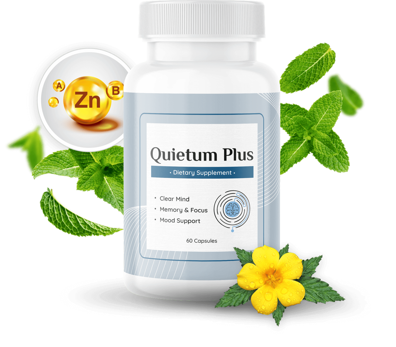 Quietum Plus 2026 Review